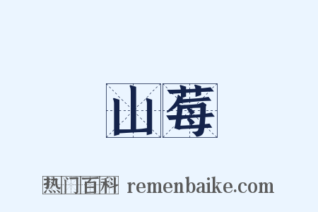 山莓是什么意思的图片